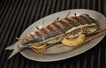 dining.casa.luca.fish.story