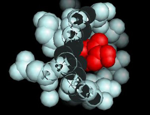 a8.medical.chemotherapy.molecule.story