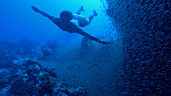 Climate Change is Focus of 23rd Environmental Film Festival