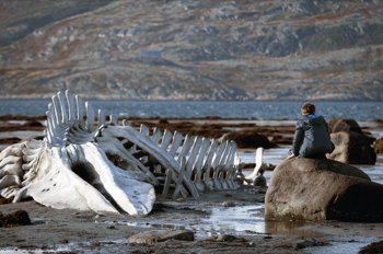 Russian Heavyweight ‘Leviathan’ Goes for Gold at the Oscars