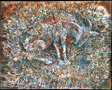 b3.chivo.mexico.story