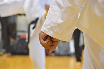 c2.karate.fist.story