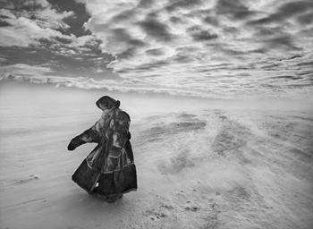 film.reviews.salt.earth.story