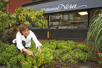 dining.nora.garden.story