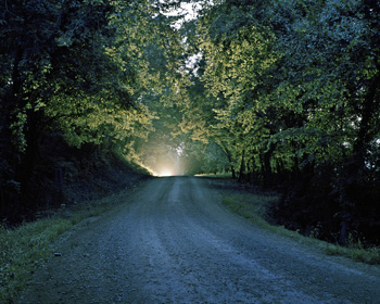 b4.organic.lara.shipley.ozarks.story