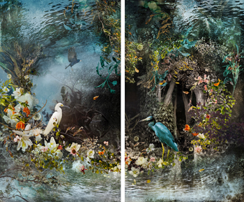 ‘Organic Matters’ Bucks Historical Assumptions About Nature and Women