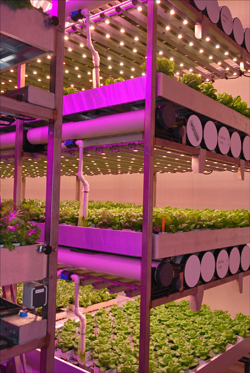 a4.dutch.brightbox.story