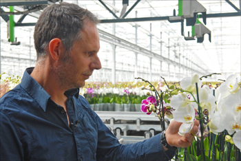 a4.dutch.orchids.laak.story