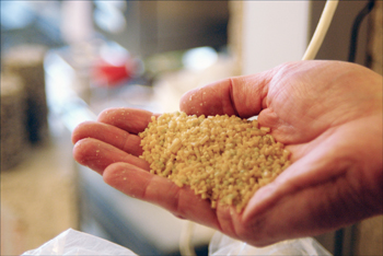 a4.dutch.pellets.story