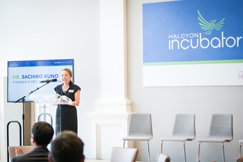 a6.halcyon.incubator.kuno.story