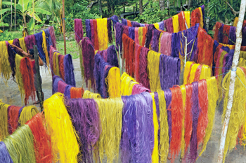b3.waterweavers.mejia.amazonia.story
