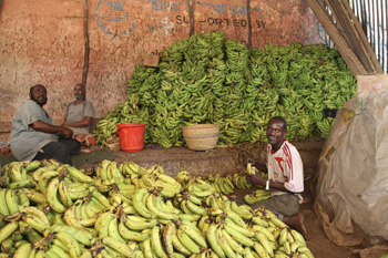 a5.cover.somalia.banannas.story