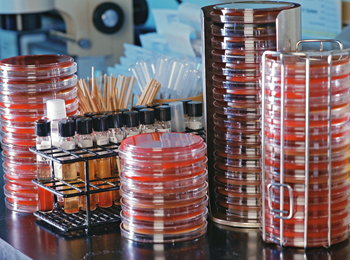 Antibiotic Resistance Could Threaten Surgery, Chemo Patients