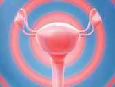 a10.medical.uterus.home