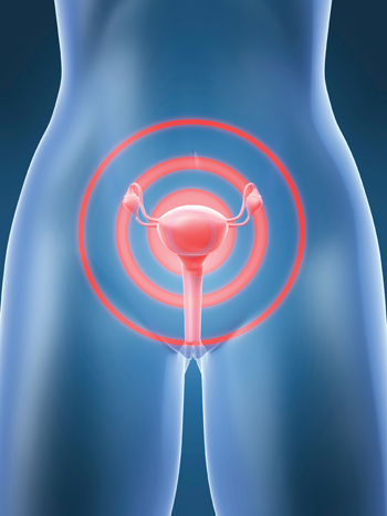 First Uterus Transplant Planned in United States