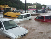a4.dominica.erika.cars.home