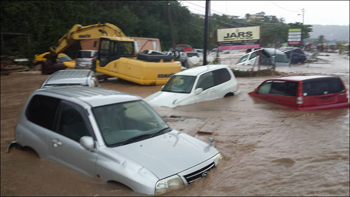 a4.dominica.erika.cars.story