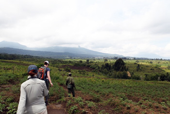 a9.digital.journalist.app.congo.story