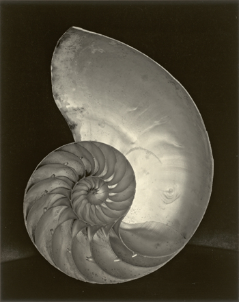 National Gallery of Art Toasts Its Photographic Legacy