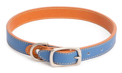 c1.gift.pets.dog.collar.story