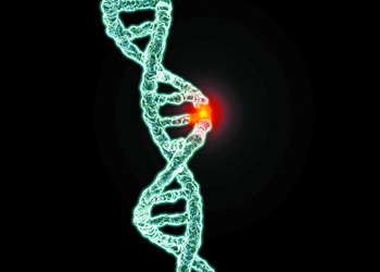 U.S. Summit Draws Attention to Technology with Potential, Peril