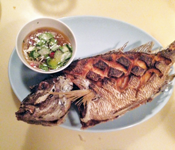 dining.little.serow.fish.story