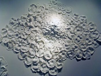 Uruguayan Artist Takes Morbidly Inventive Approach to Habitat Loss