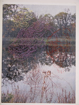 b5.cardillo.estancias.story