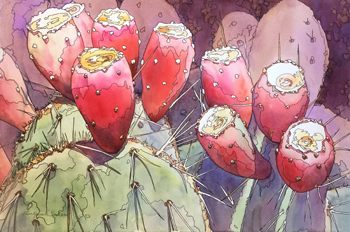 b6.flora.botanic.prickly.pear.cactus.story