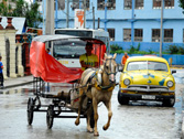 a6.cuba.horse.buggy.home