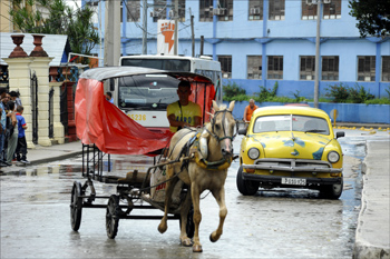 a6.cuba.horse.buggy.story