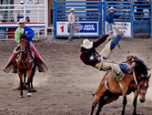 a6.heartland.rodeo.wyoming.home