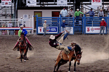 a6.heartland.rodeo.wyoming.story