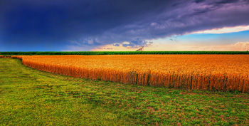 Anger, Unease Grip American Heartland as Election Nears