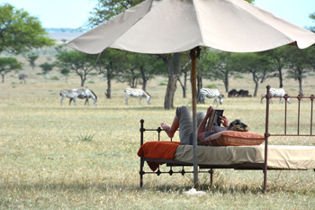 d2.travel.africa.story