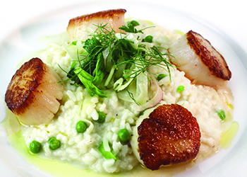 dining.ocean.prime.scallops.risotto.story