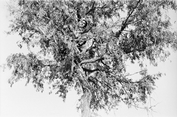 ‘Notes from Desert’ Gets Up Close and Personal with Women from Marginalized Community