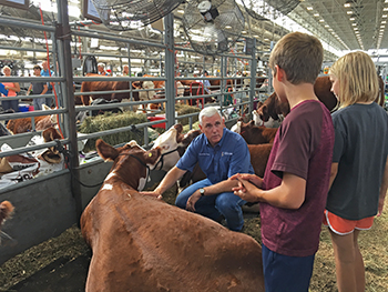 a1.mike.pence.fair.story