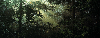 ‘Photography Reinvented’ Challenges Preconceived Notions