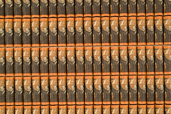 b3.swindle.people.brown.story