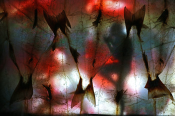 ‘Decolonizing Alaska’ Digs Deeper Than Eskimos and Igloos