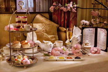 c1.hotels.outdoor.willard.tea.story