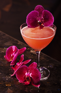 Hotels Promote Rooftops, Patios, Pools to Help Locals Soak Up Spring