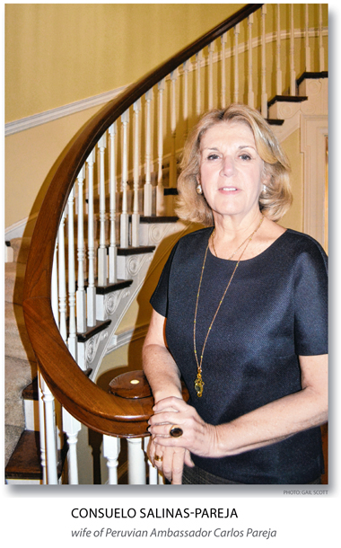 From Disaster Relief to Gastronomy, Peruvian Wife Volunteers to Help Homeland