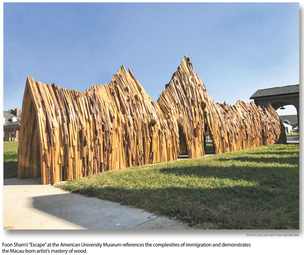 Foon Sham’s Wood Tunnel Takes Viewers on Dual-Natured Journey