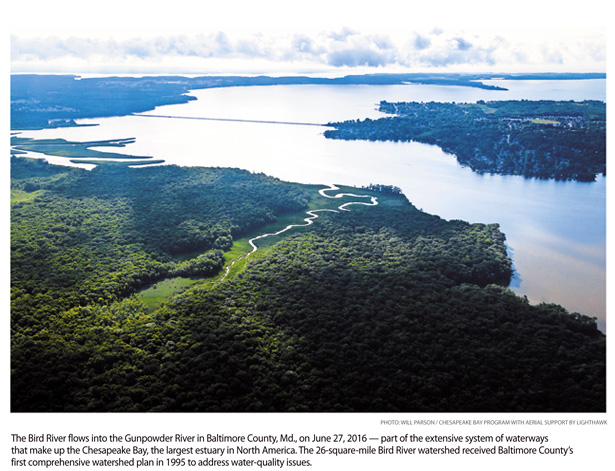 a7.waterways.bird.river.story