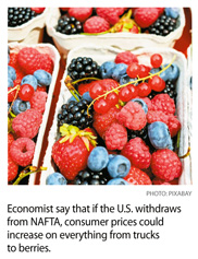 a4.canada.berries.story