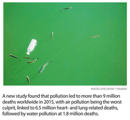 d1.medical.pollution.fish.story