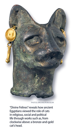 b1.divine.feline.head.story