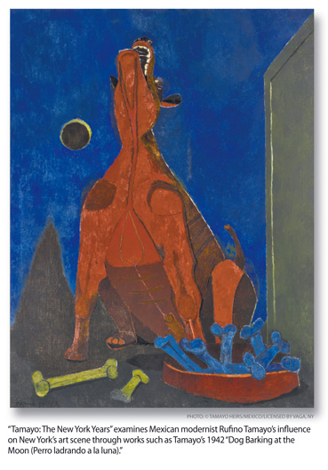 b3.tamayo.dog.moon.story